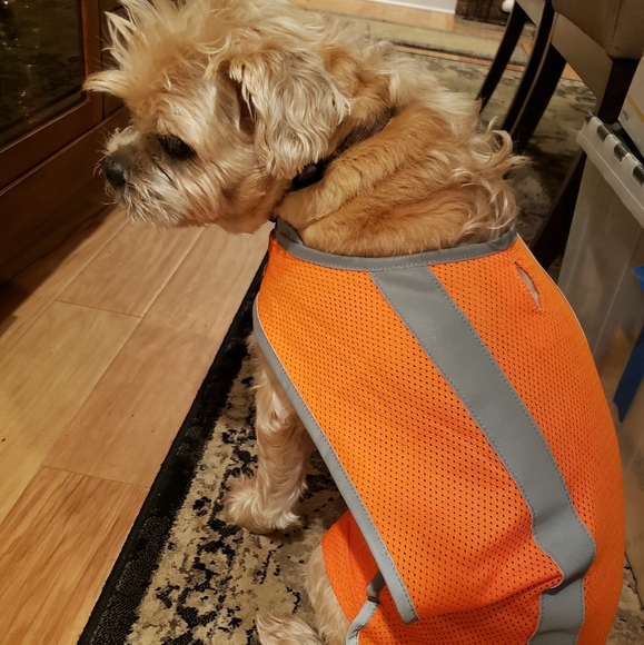 Reflective Dog Safety Vest - Picture 3 of 12